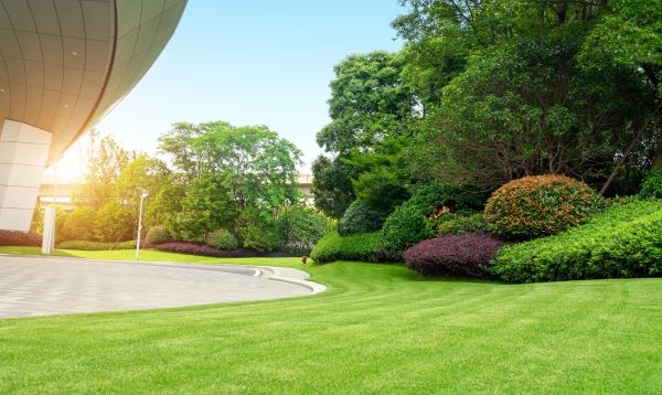 Cost of Commercial Lawn Mowing in Milford