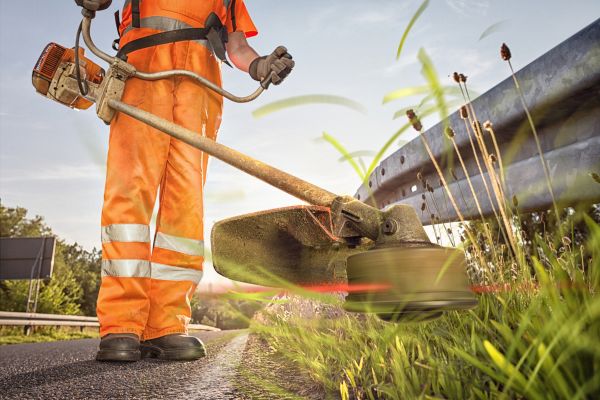 Weed Whacking Service
