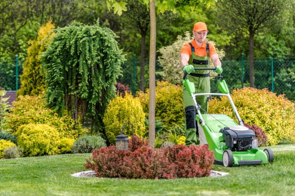 Cost of Yard Service in Milford