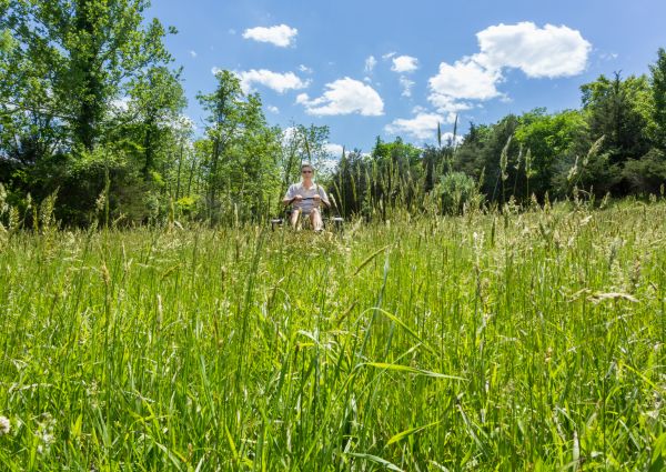 Cost of Long Grass Mowing in Milford