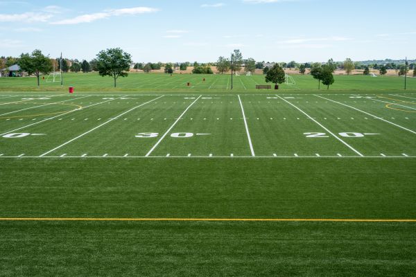 Cost of Groundskeeping Service in Milford
