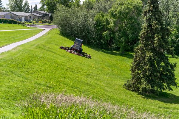 Cost of Hill Mowing in Milford