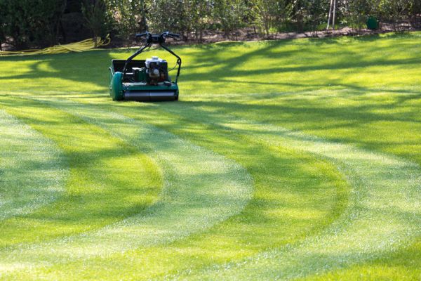 Cost of Business Lawn Mowing in Milford