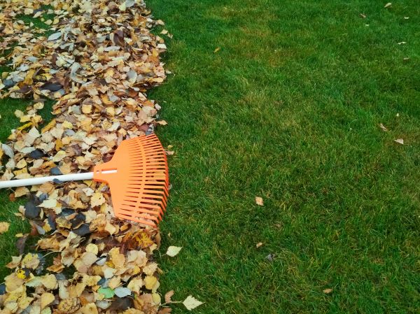 Cost of Fall Lawn Care in Milford