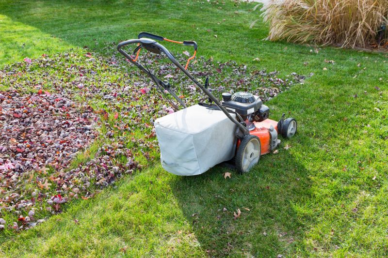 Autumn Lawn Care