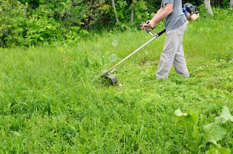 Spring Grass Trimming
