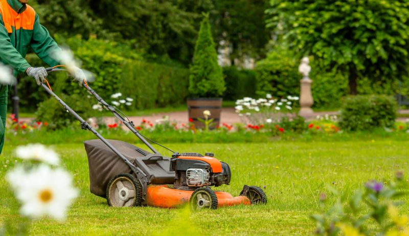 Professional Lawn Care Experts