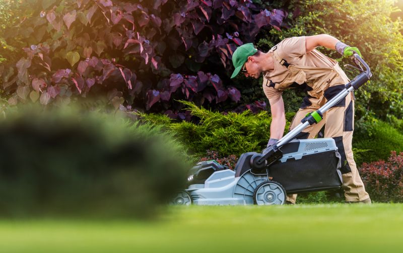 Individual Lawn Mowing Services